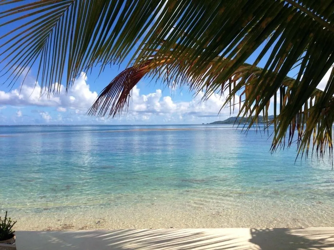 Nouveau La Caribeenne Sur La Plage Villa 2 Bedrooms 2 Baths Piscine Tennis Plage Baie Nettle